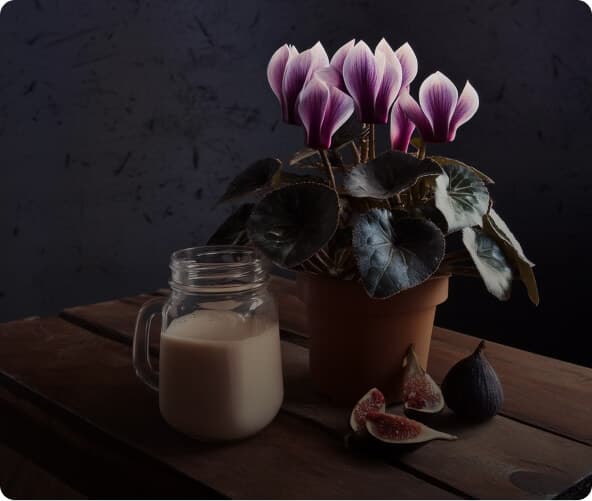 Middle Notes